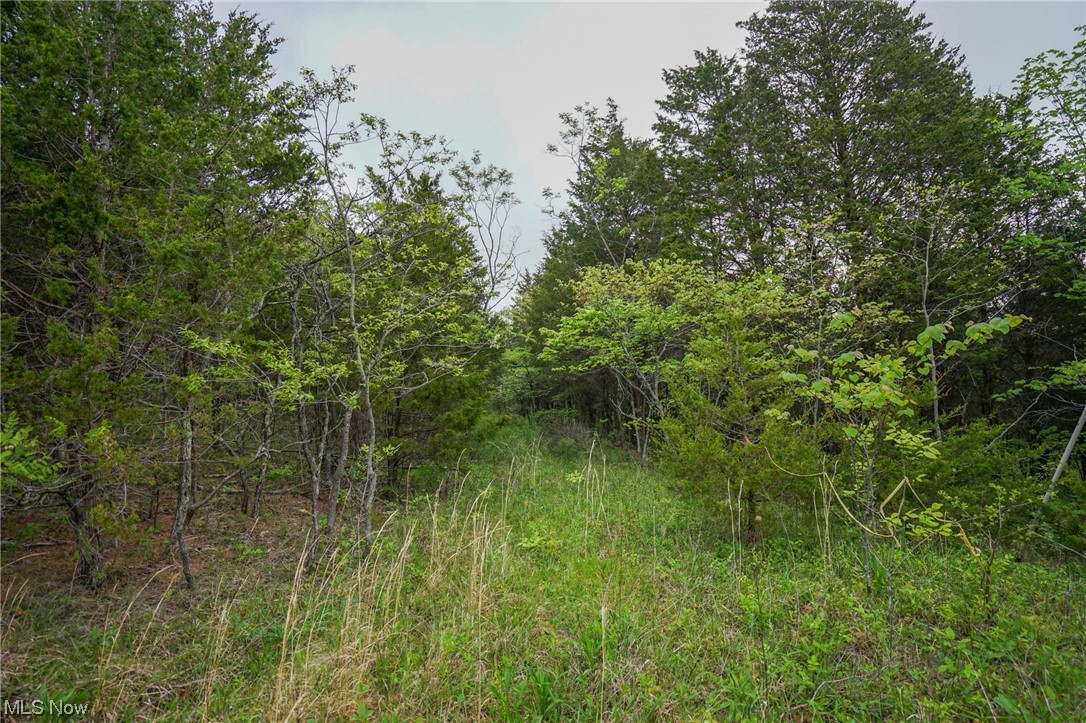 Bentonville Rd Union West Union, OH 45693 - Photo 2 of 35 Gallery Image 2