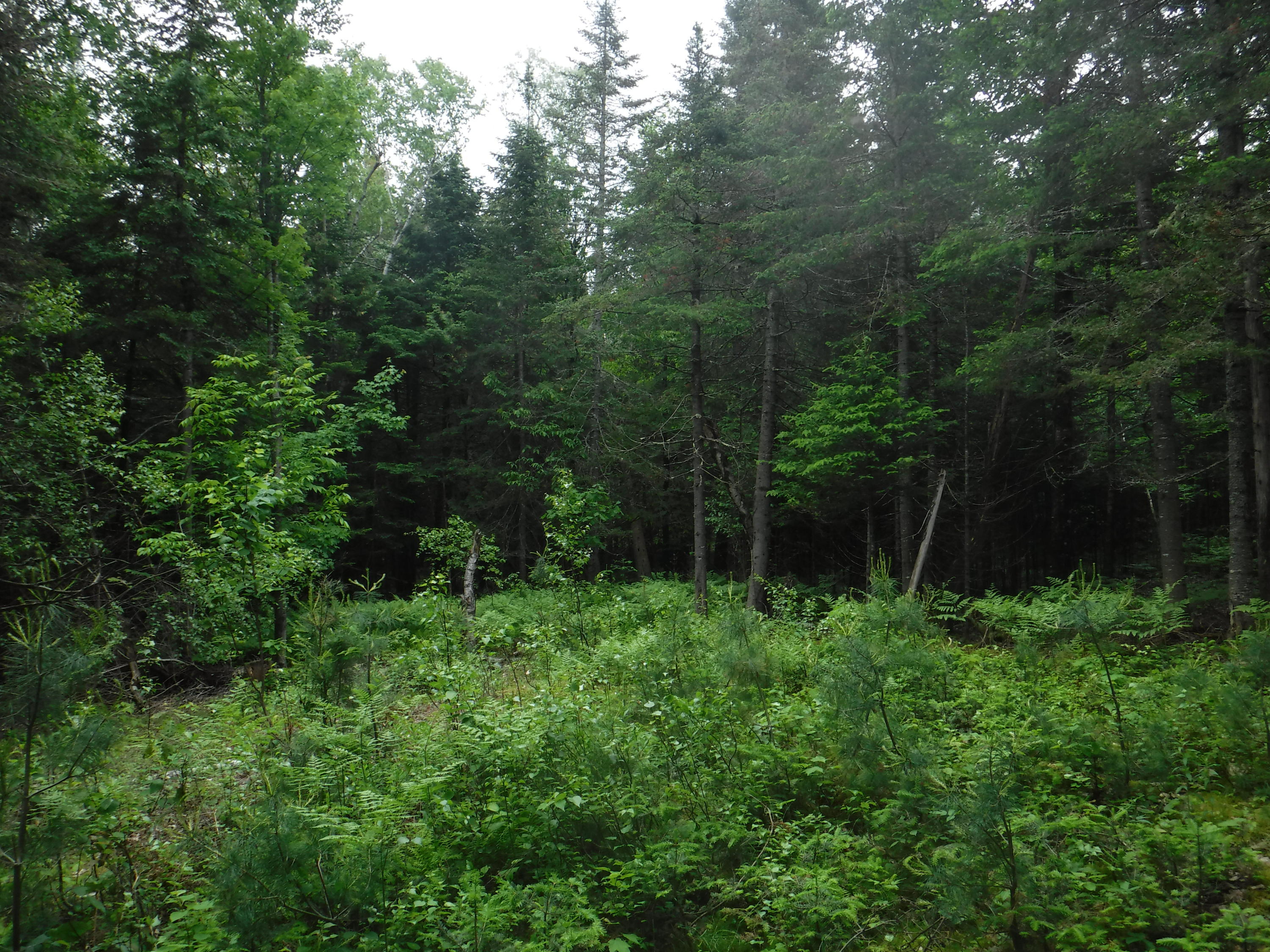 Tbd Mountain View Road Anson, ME 04911 - Photo 1 of 13 DSCF8312