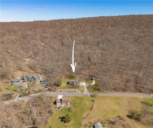 a view of a dry yard