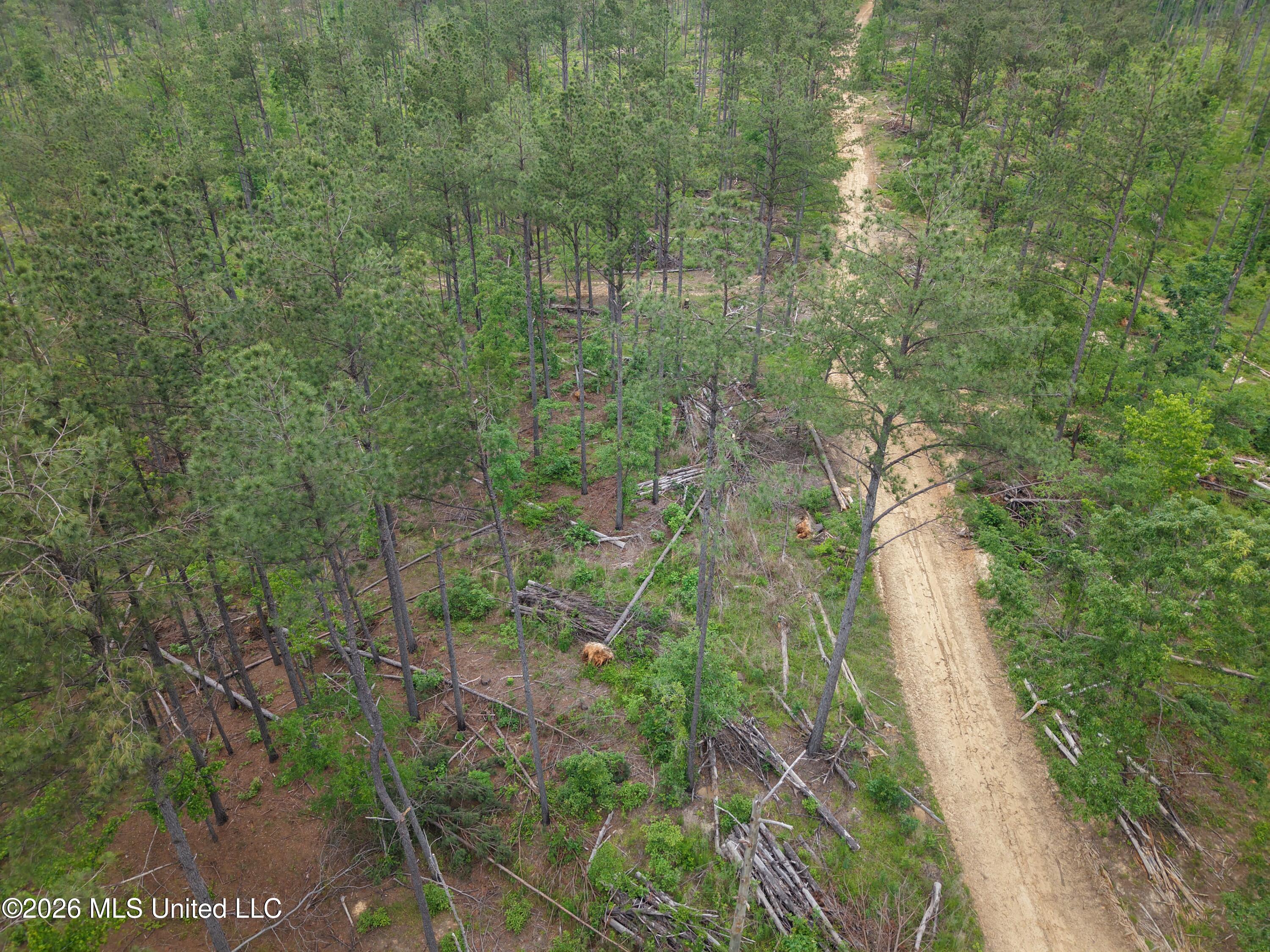 Graysport Crossing Road Gore Springs, MS 38929 - Photo 2 of 16 dji_fly_20260505_112030_0177_17797570209