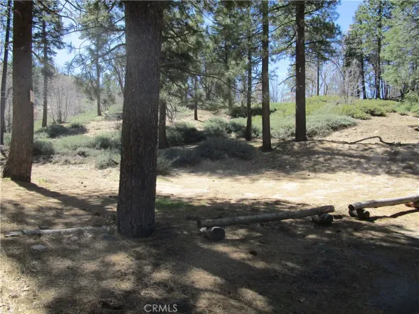 $98,000 | 0 Green Valley Lake Dr Green Valley Lake, Running Springs, CA 92382