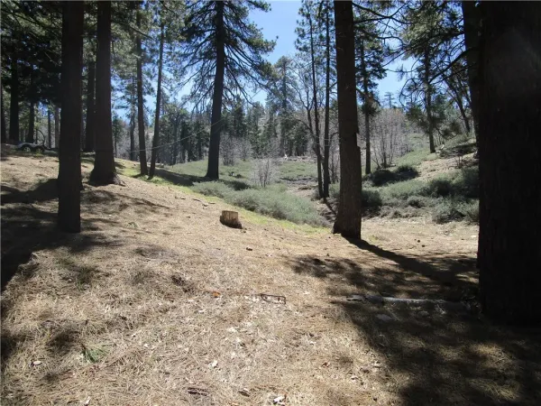 $98,000 | 0 Green Valley Lake Dr Green Valley Lake, Running Springs, CA 92382