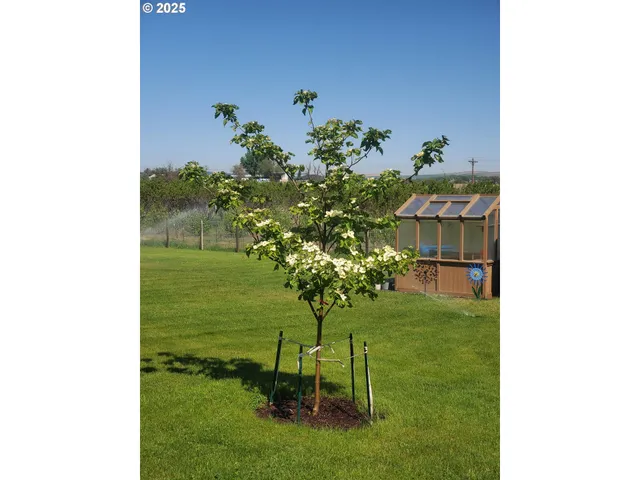 $749,000 | 75077 Oregon Lane, Irrigon, OR 97844