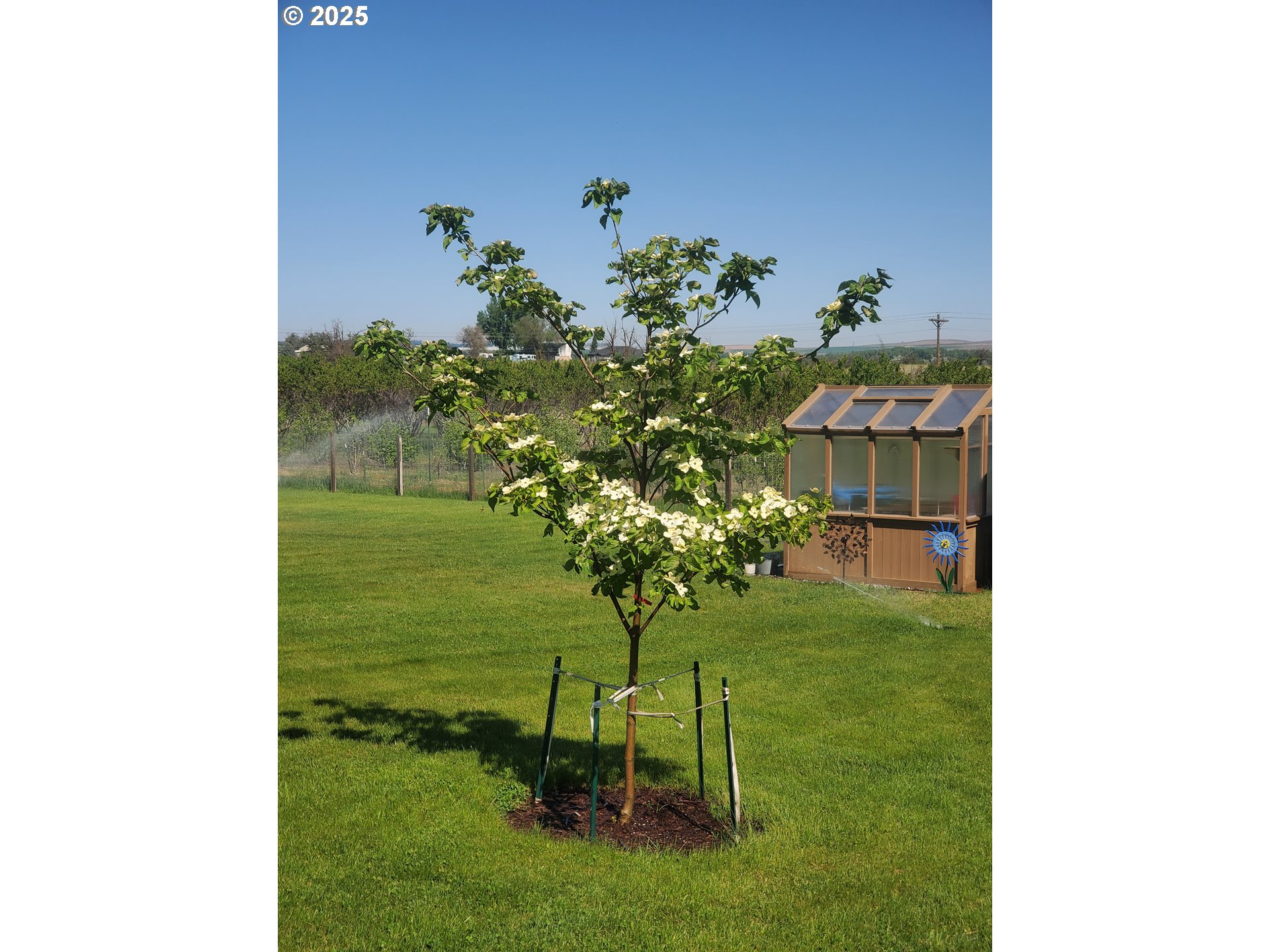 75077 Oregon Lane Irrigon, OR 97844 - Photo 40 of 41 a table with flowers in it