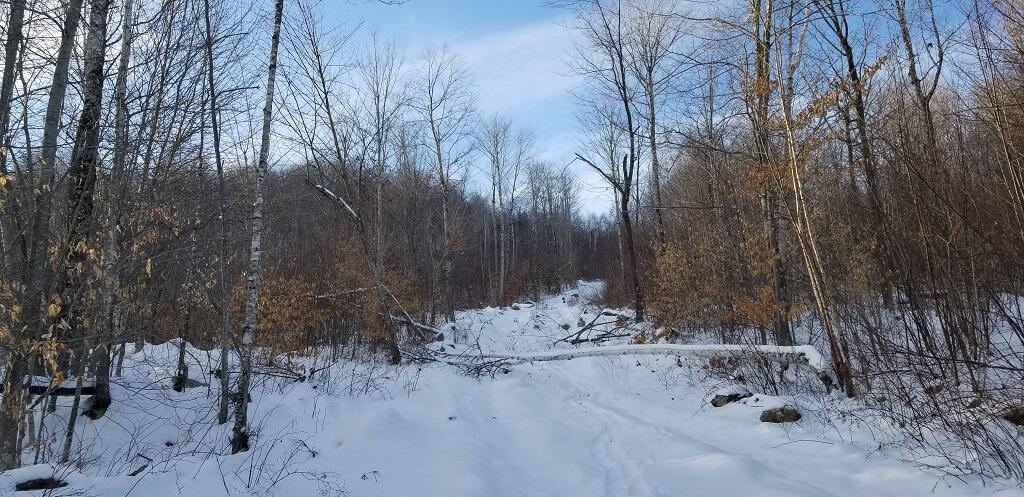 0 Easter Hill Road Roxbury, ME 04275 - Photo 50 of 56 20210107_143605