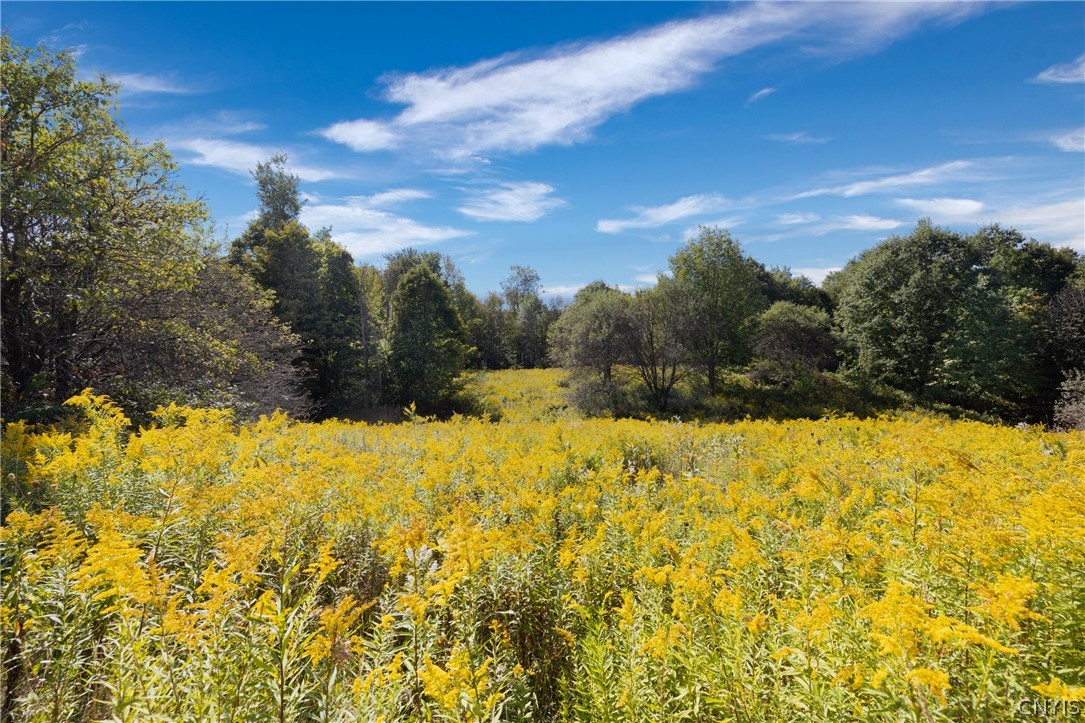 Hathaway Road Moravia, NY 13118 - Photo 4 of 27 Gallery Image 4