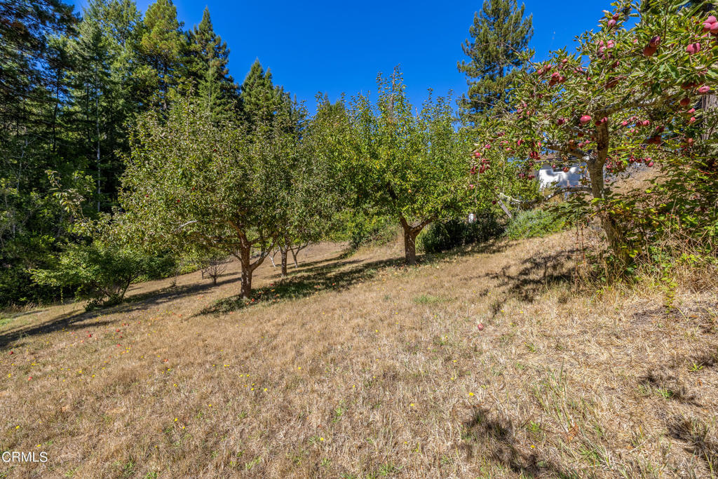 31026 Albion Ridge L Road Albion, CA 95410 - Photo 39 of 44 Gallery Image 39