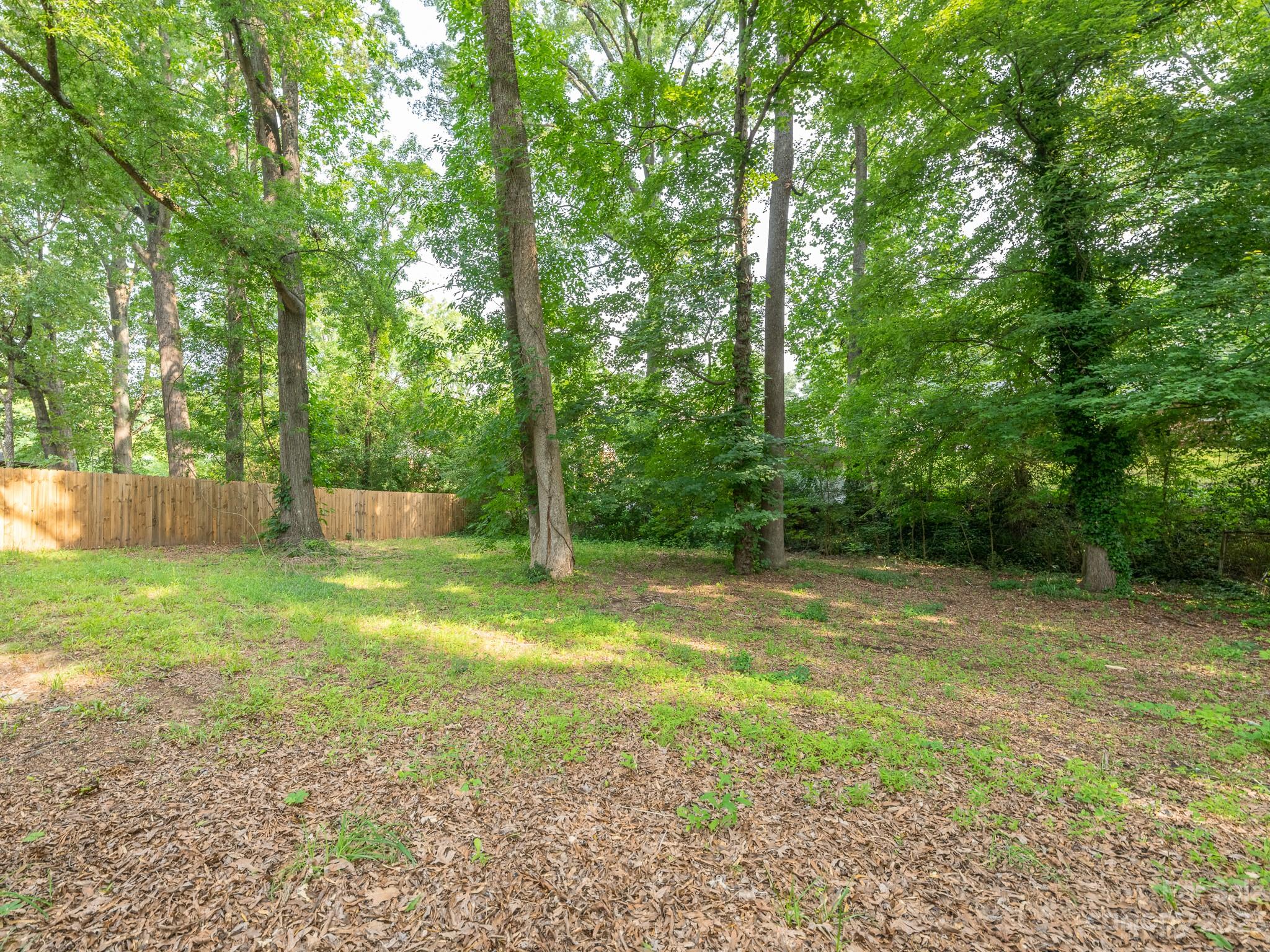2824 Fordwood Drive Charlotte, NC 28208 - Photo 8 of 33 a view of a backyard with a trees