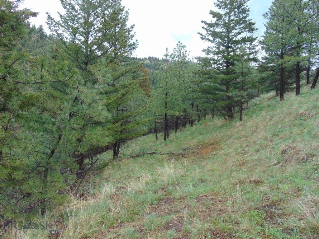 Tbd Shady Spring Lane Cascade, MT 59421 - Photo 38 of 78 Gallery Image 38