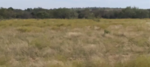 a view of a wooden bridge