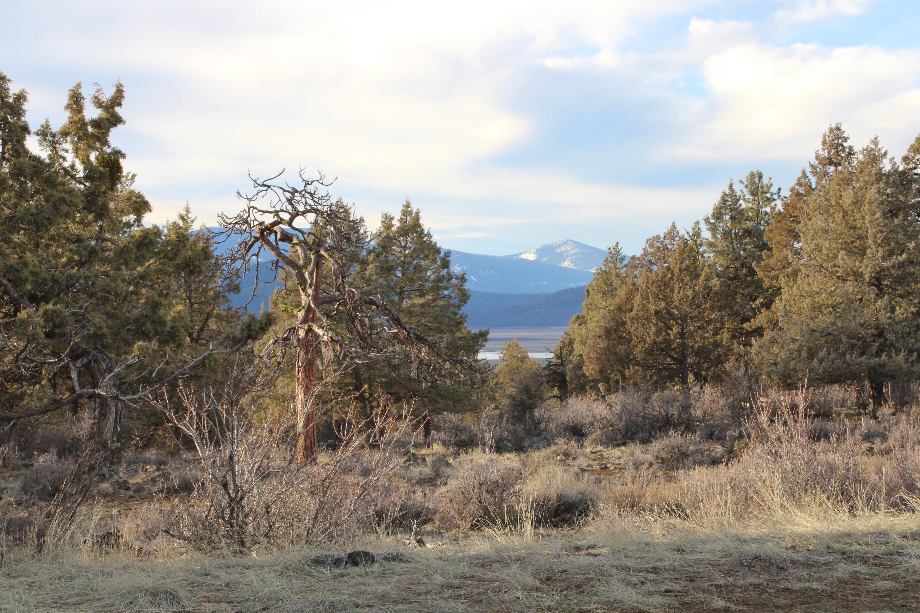 940 Bailey Mountain Road Klamath Falls, OR 97601 - Photo 3 of 17 940 Bailey Mountain 110