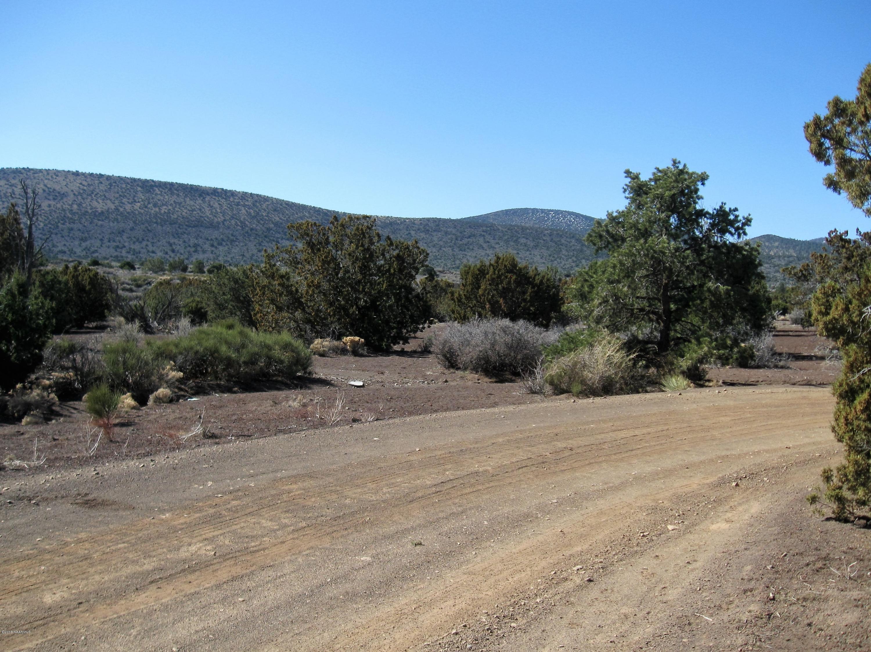43-066 Alpine Ranch Flagstaff, AZ 86004 - Photo 3 of 3 road access