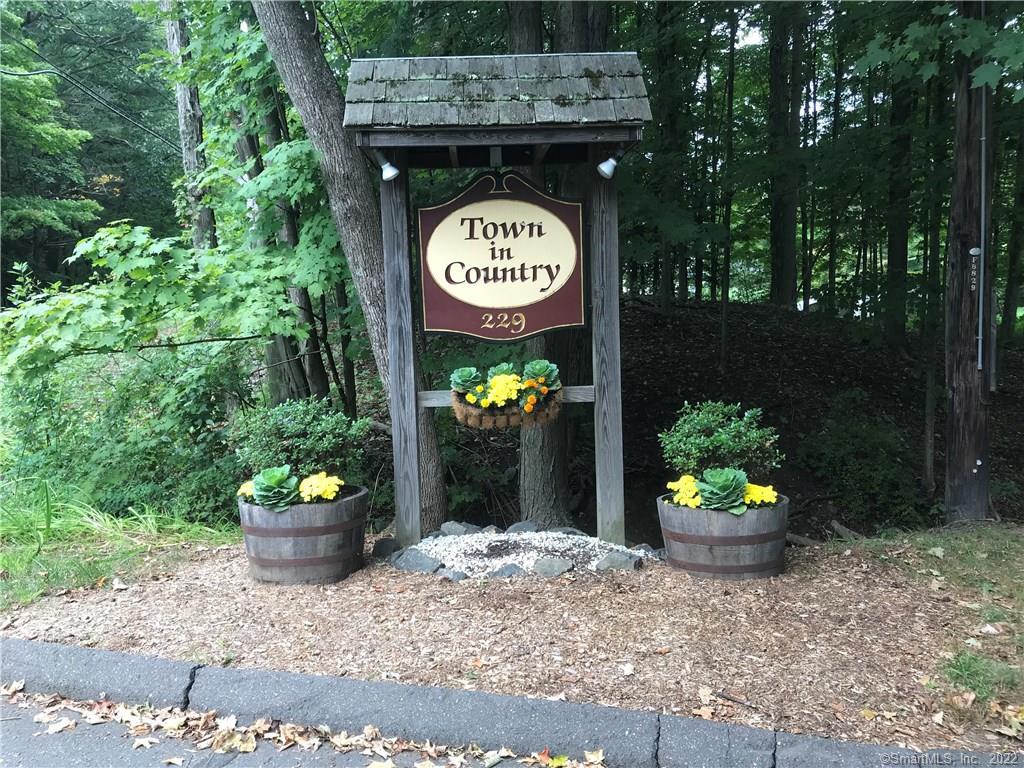 a vase of flowers sitting in a backyard