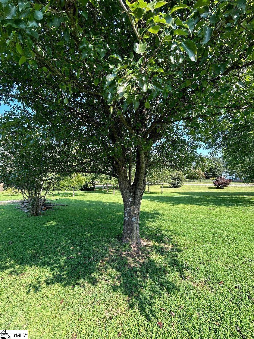 456 Cinnamon Ridge Drive Inman, SC 29349 - Photo 20 of 28