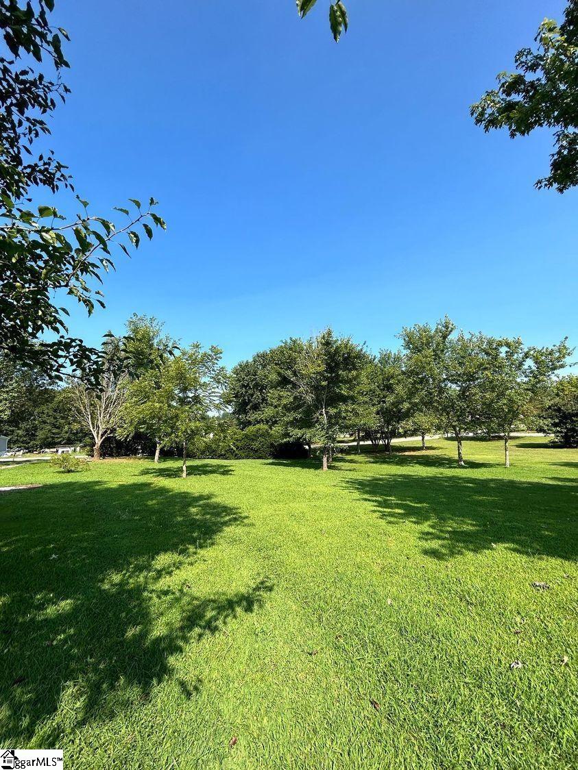 456 Cinnamon Ridge Drive Inman, SC 29349 - Photo 23 of 28