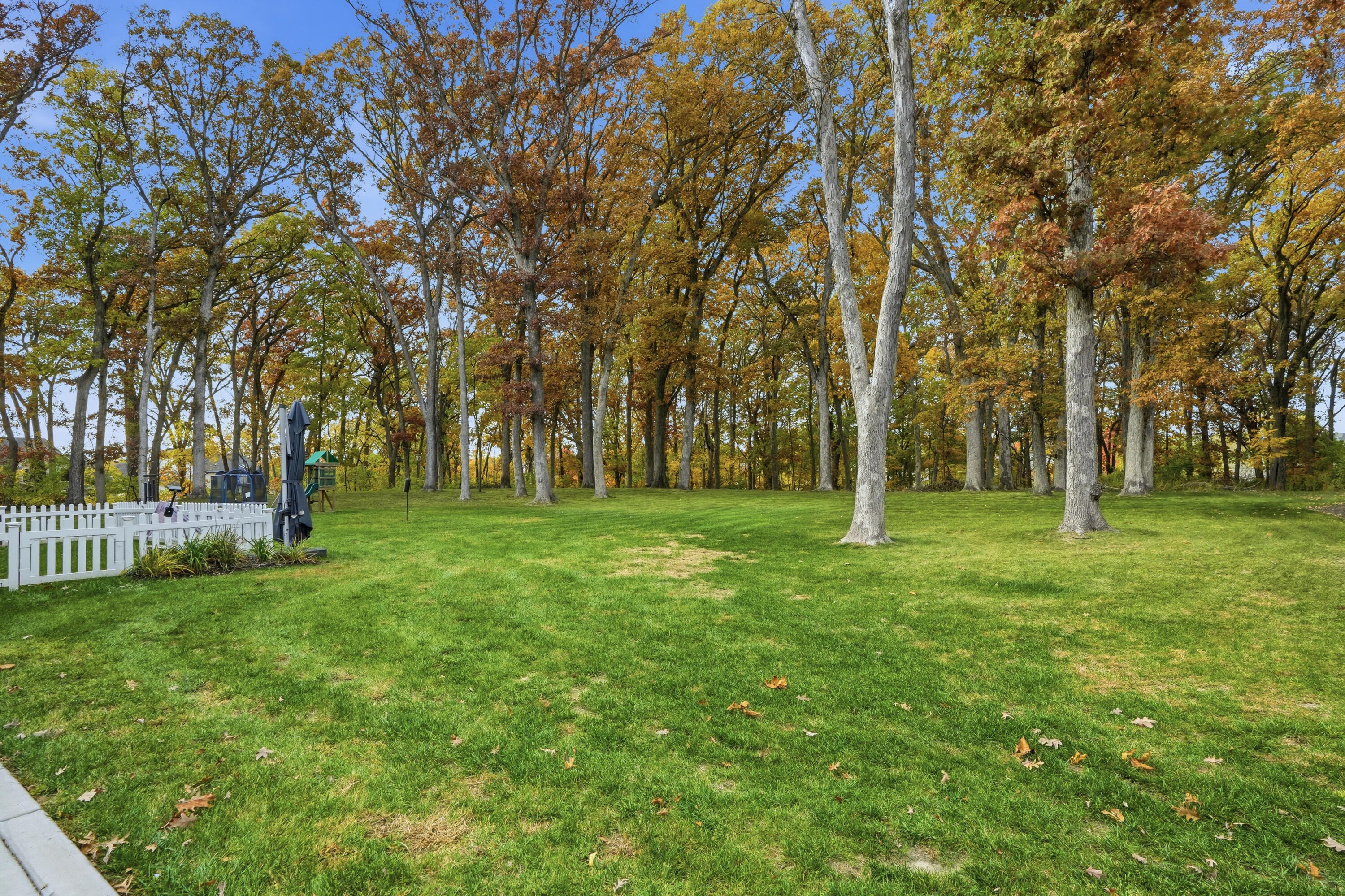 804 Shannon Drive Crown Point, IN 46307 - Photo 66 of 79 a huge green field with lots of trees