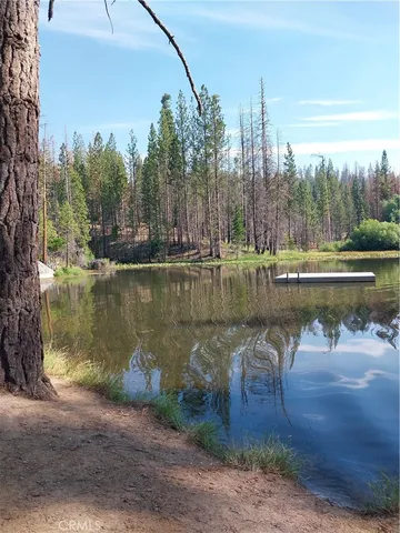 a view of a lake with houses in the background