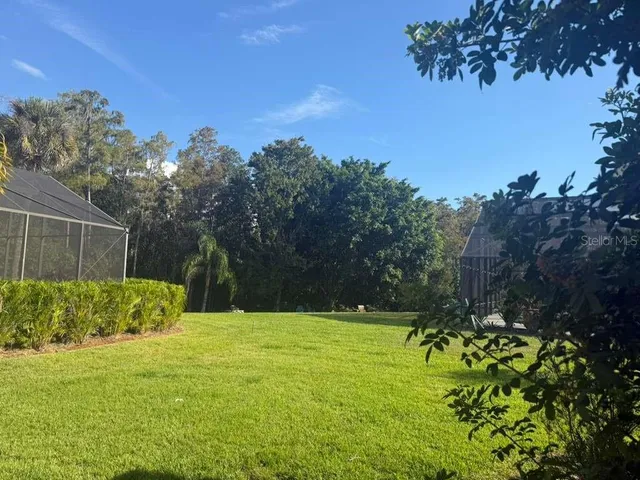 a view of a backyard