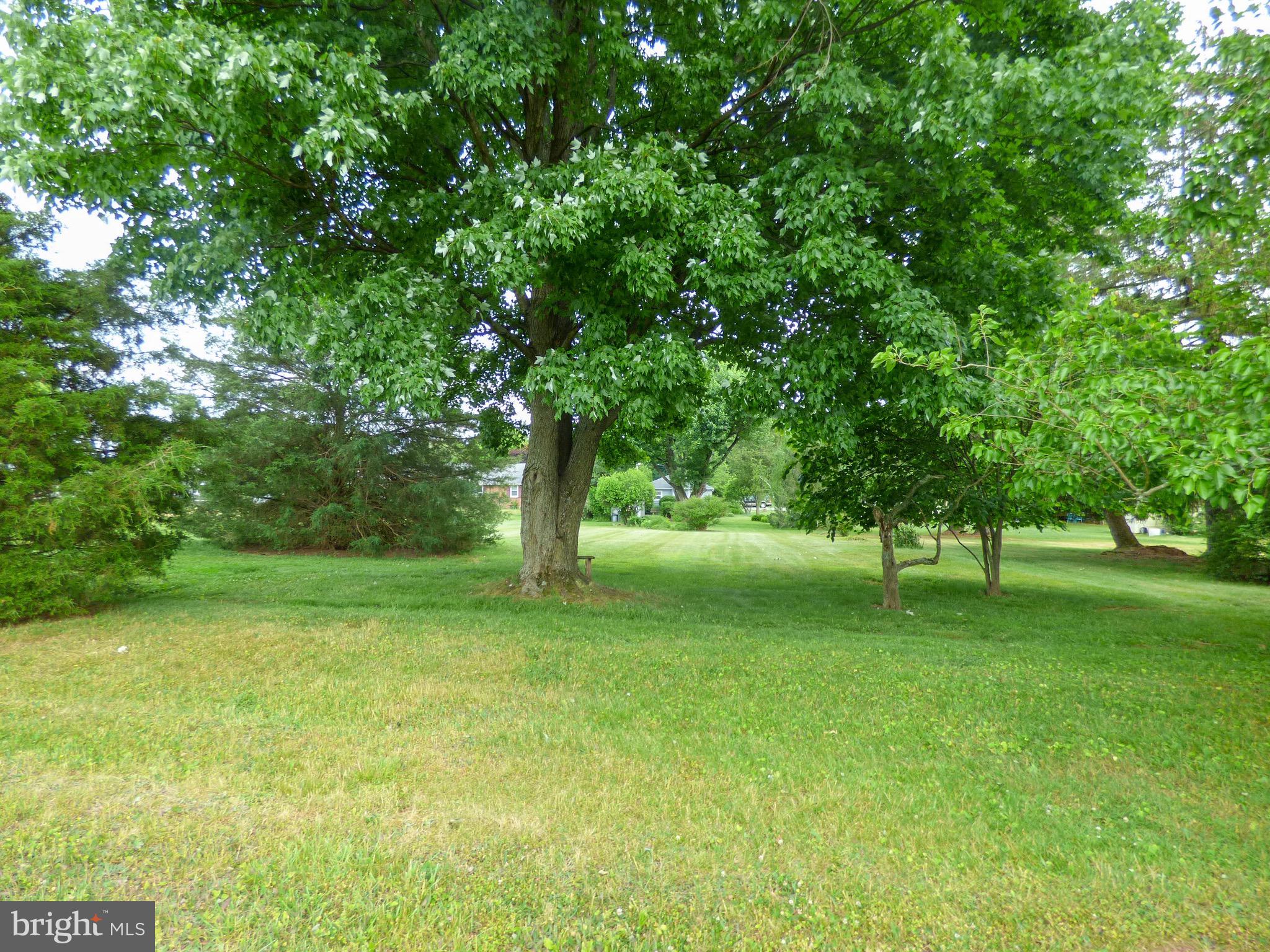 830 Butter Road Dover, PA 17315 - Photo 4 of 32