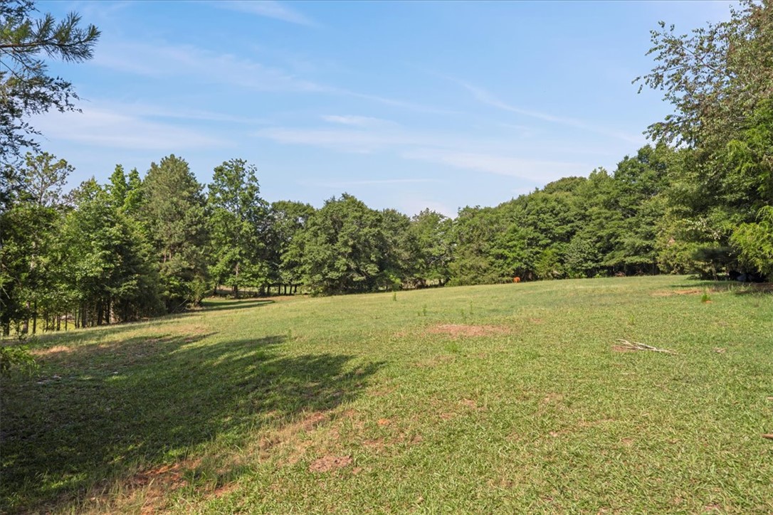 100 Princeton Highway Honea Path, SC 29654 - Photo 37 of 50 Pasture