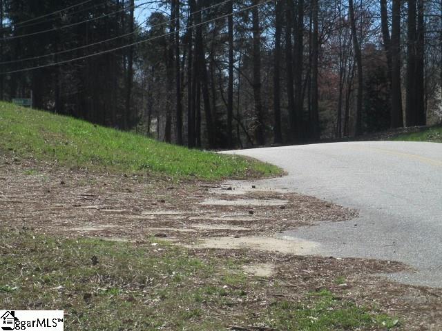 Luther Land Road, Unit TRACK 1 Seneca, SC 29672 - Photo 3 of 15 Gallery Image 3