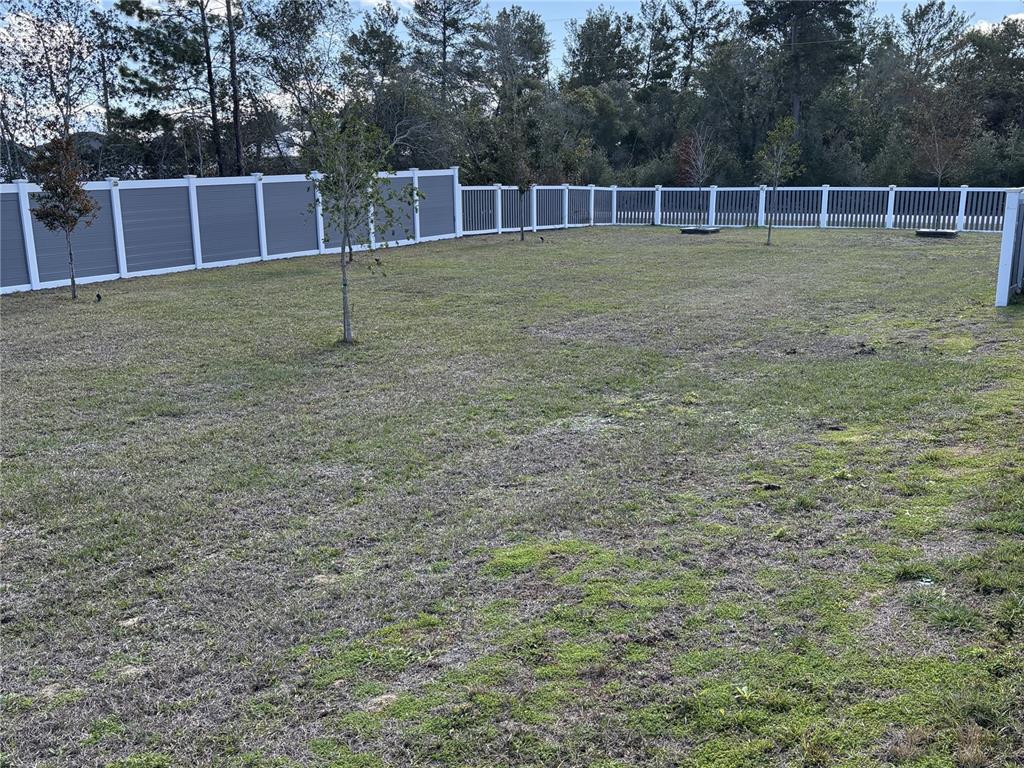 3957 Southwest 113th Place Ocala, FL 34476 - Photo 39 of 41