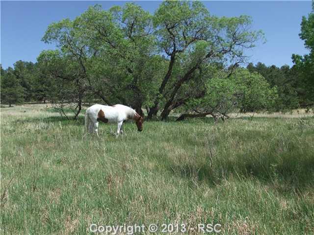 15540 Apex Ranch Road Peyton, CO 80831 - Photo 3 of 3