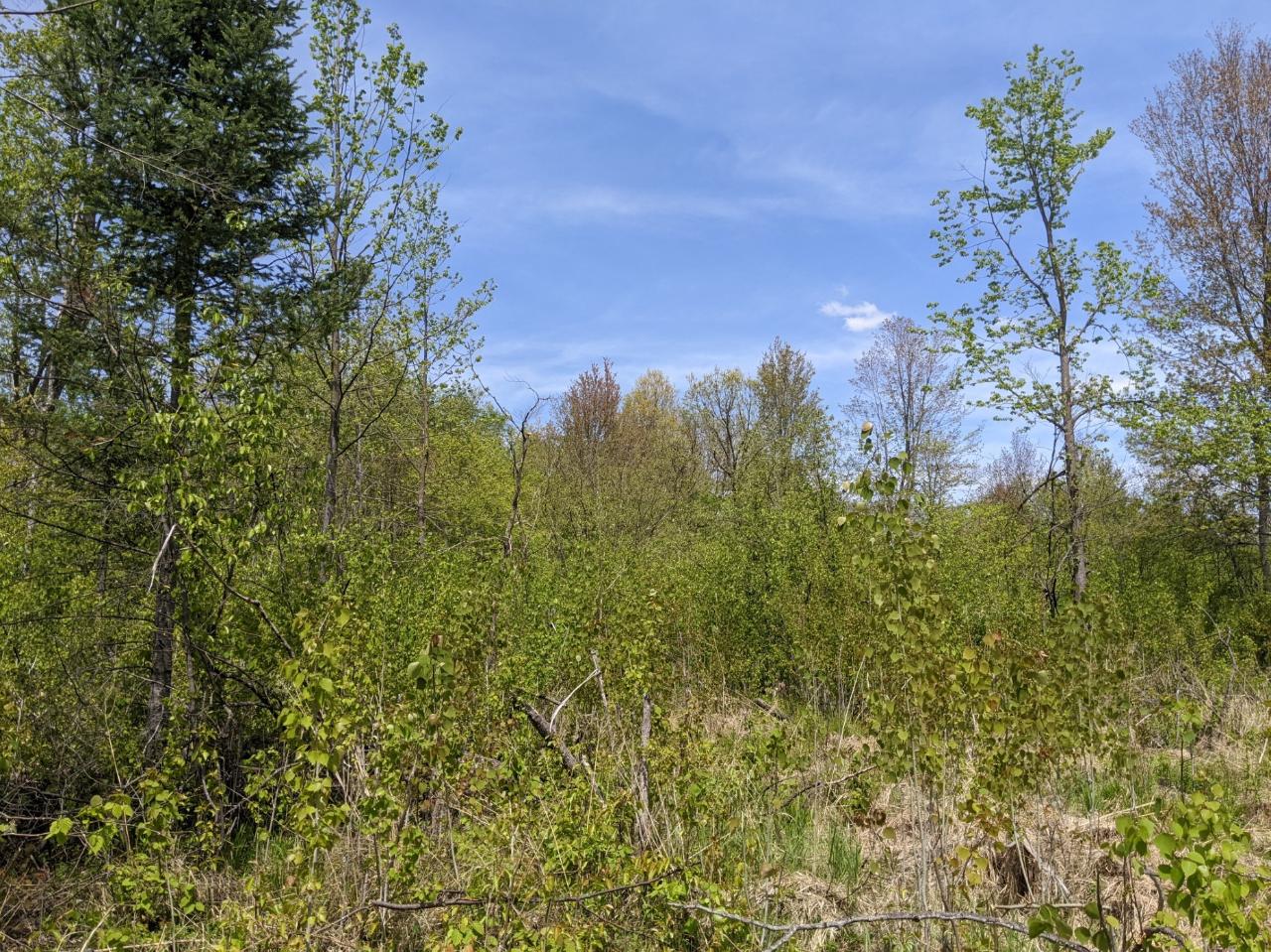W3068 Wilson Road Glen Flora, WI 54526 - Photo 60 of 61 Gallery Image 60