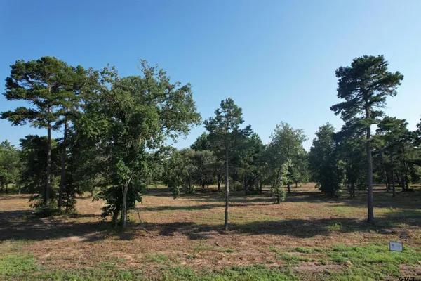 a view of a park with large trees