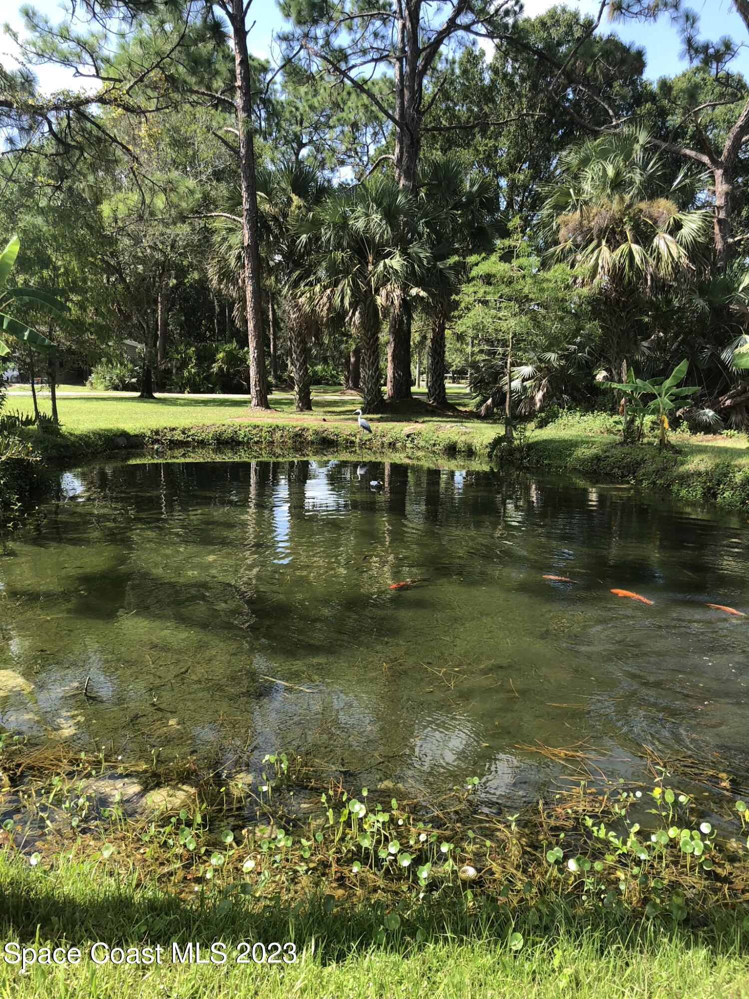 1639 Emmaus Road Northwest Palm Bay, FL 32907 - Photo 39 of 40 a view of lake