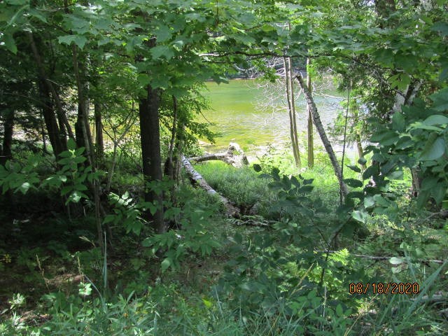 2867 Kettle Lake Road Kalkaska, MI 49646 - Photo 3 of 38 1880375-2.JPG