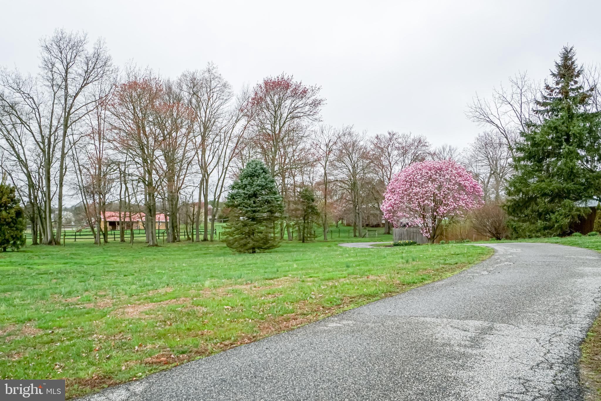 121 Old Line Drive Elkton, MD 21921 - Photo 4 of 37 Driveway