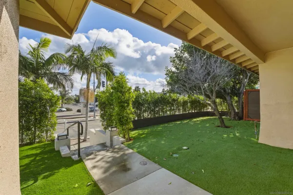 a view of a park with palm tree