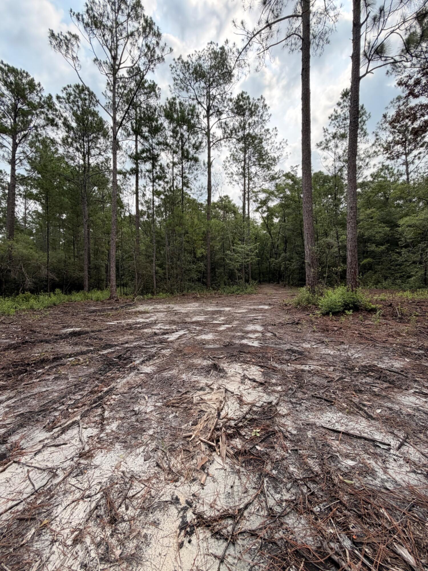 5266 Choctaw Road Vernon, FL 32462 - Photo 12 of 31 IMG_2647_MLS