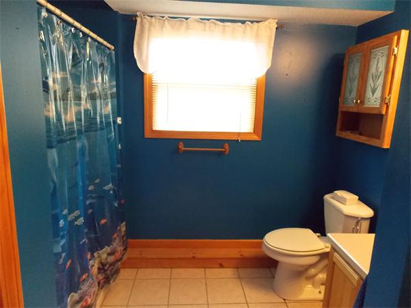 22 Dunbar Street Springfield, MA 01118 - Photo 18 of 21 a bathroom with a toilet a sink and a shower