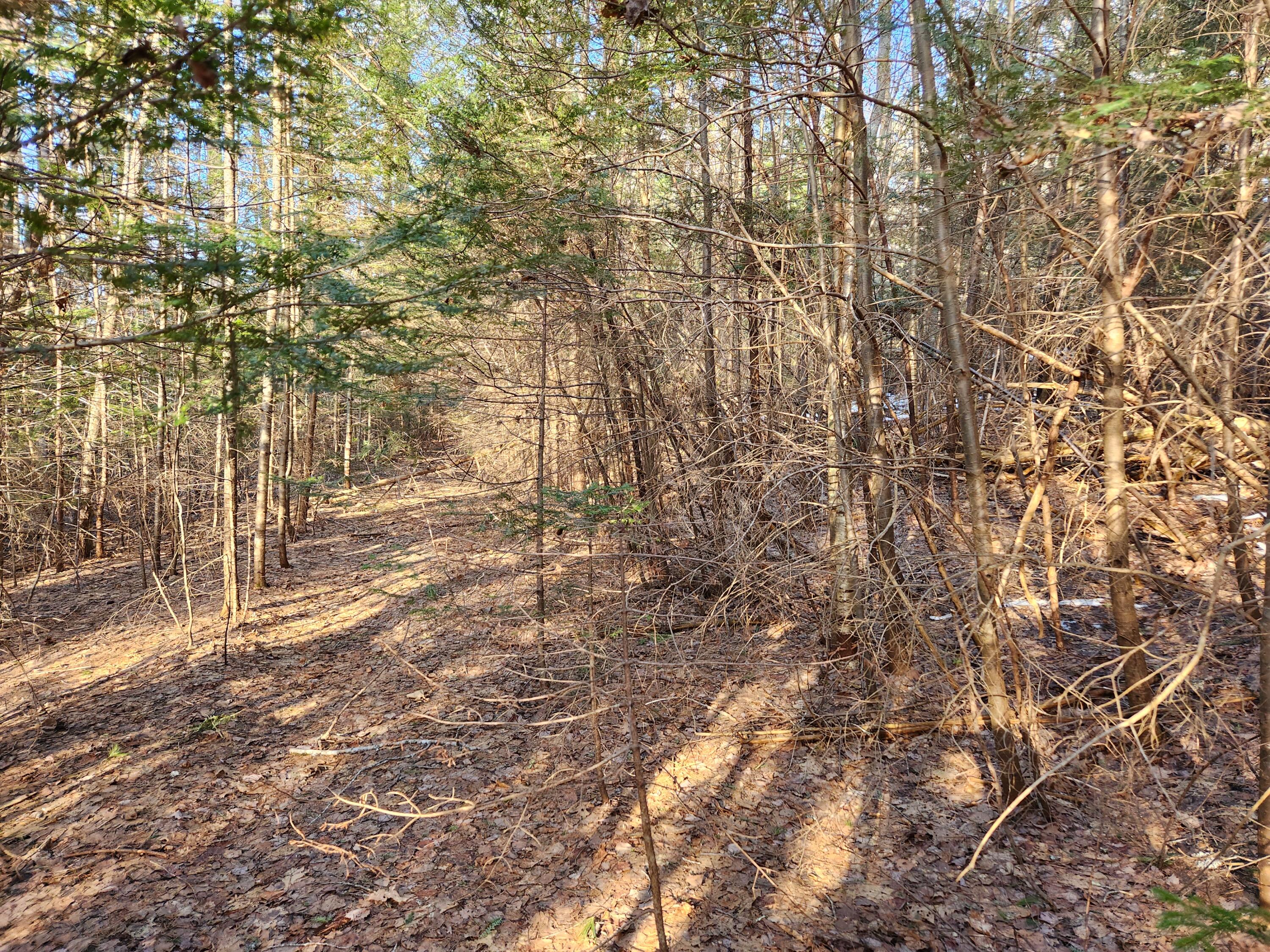 Lot 40 Pension Ridge Road Boothbay, ME 04537 - Photo 4 of 7 Photo 3
