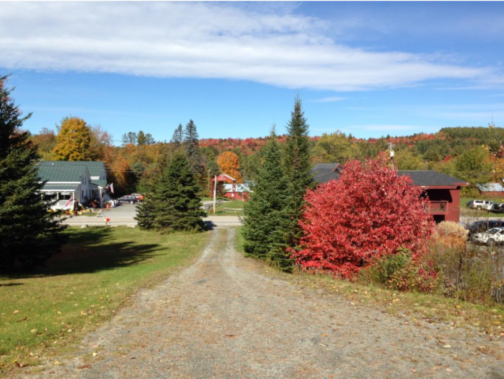 35 Highway 30 Winhall, VT 05340 - Photo 6 of 29