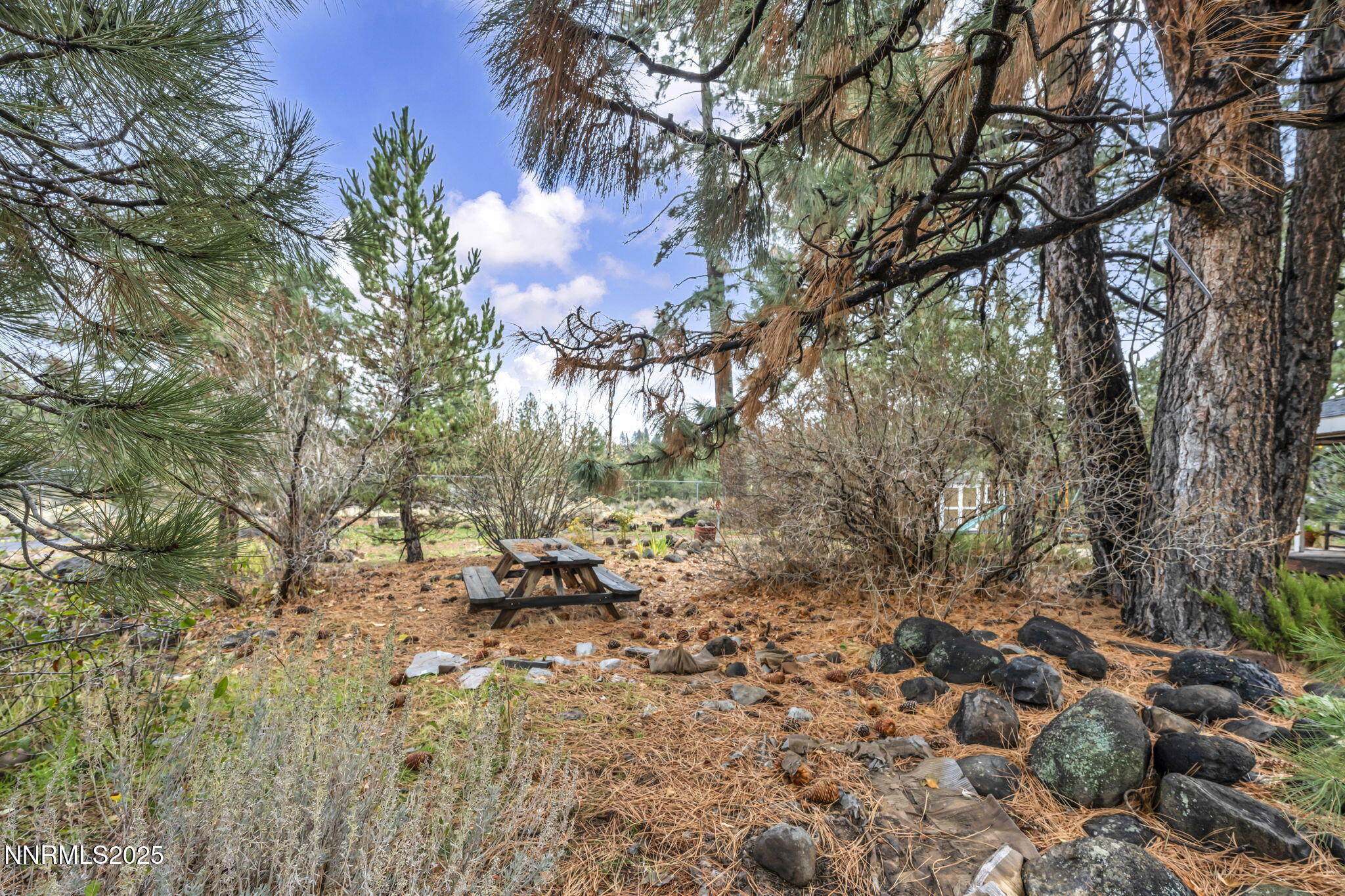 568 Crystal Park Road Verdi, NV 89439 - Photo 47 of 48 51-web-or-mls-568-crystal-park-rd
