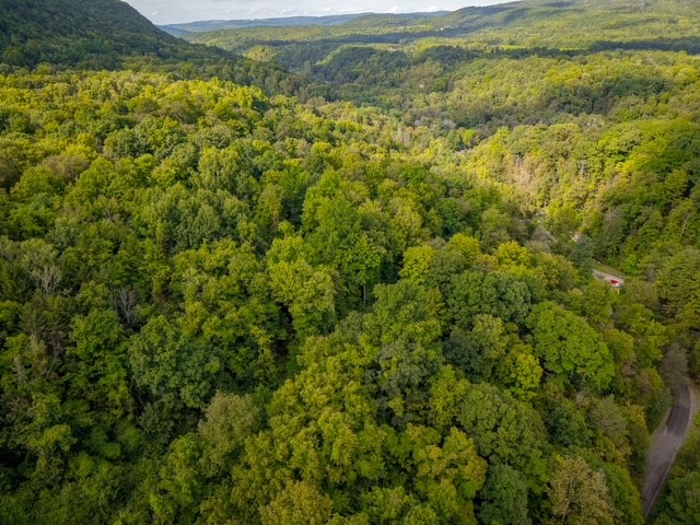 Hill Road Millport, NY 14864 - Photo 5 of 14 Gallery Image 5