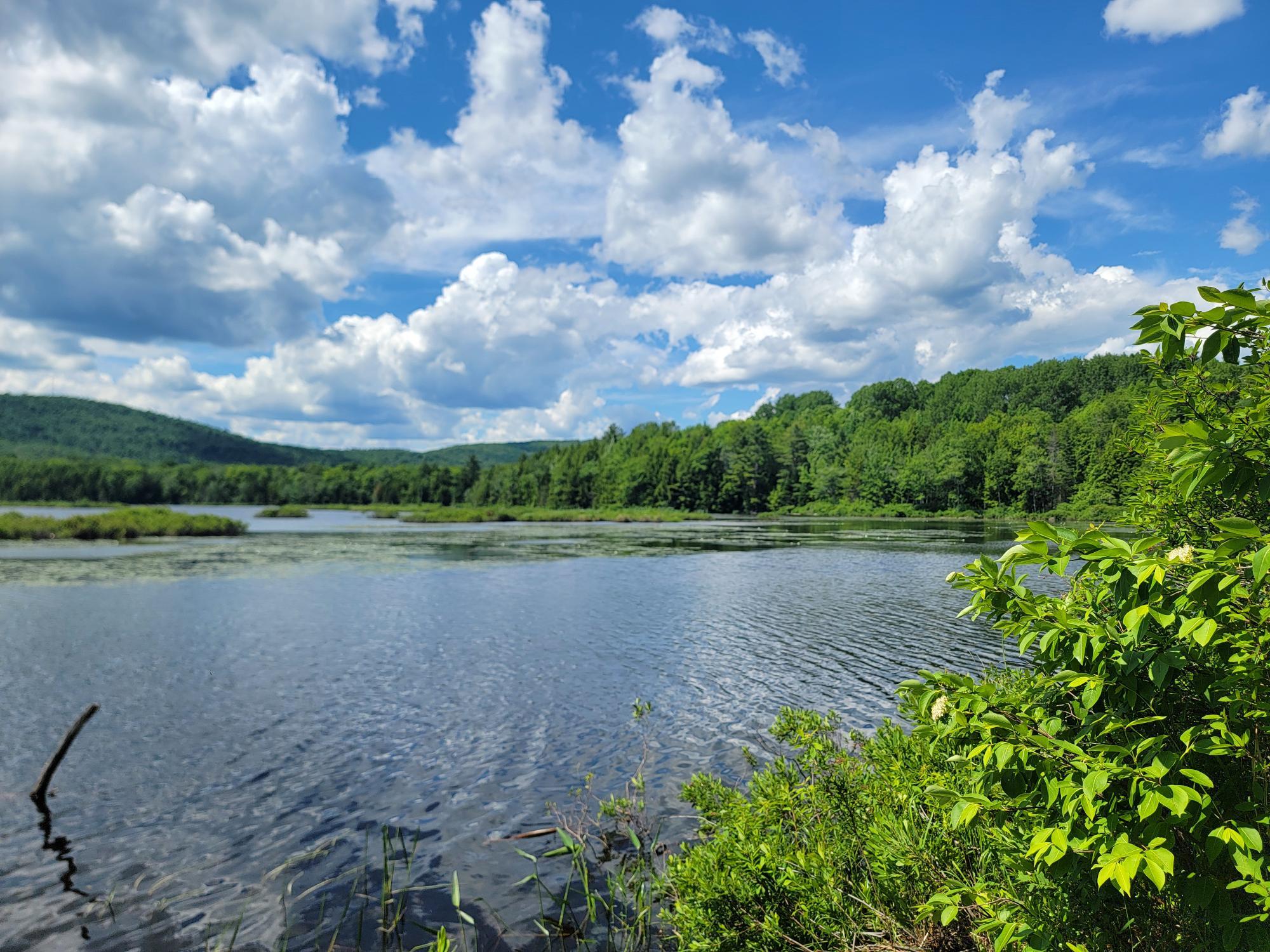 477 Hadley Mill Road Jackson, ME 04921 - Photo 3 of 32