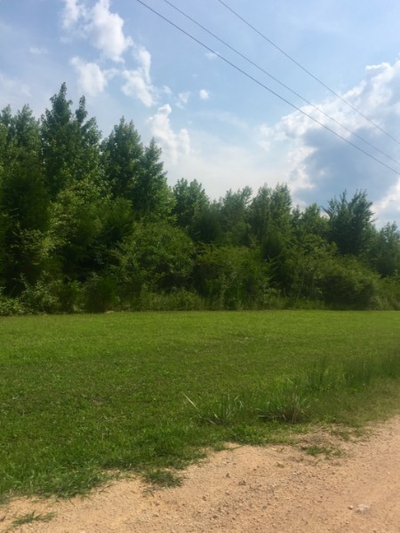 0 Whitaker Bnd Road Linden, TN 37096 - Photo 2 of 6 Gallery Image 2