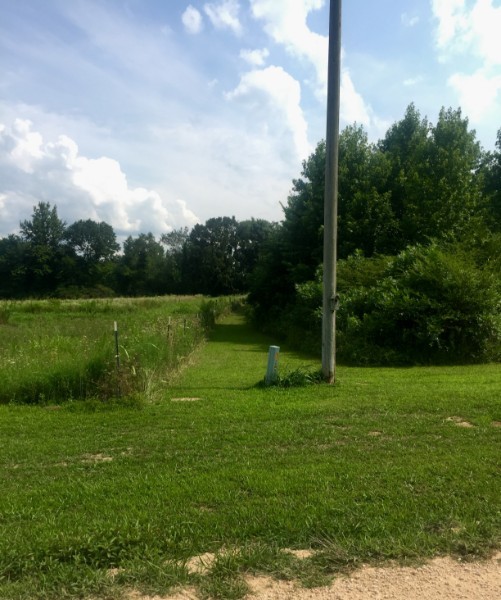 0 Whitaker Bnd Road Linden, TN 37096 - Photo 3 of 6 Gallery Image 3