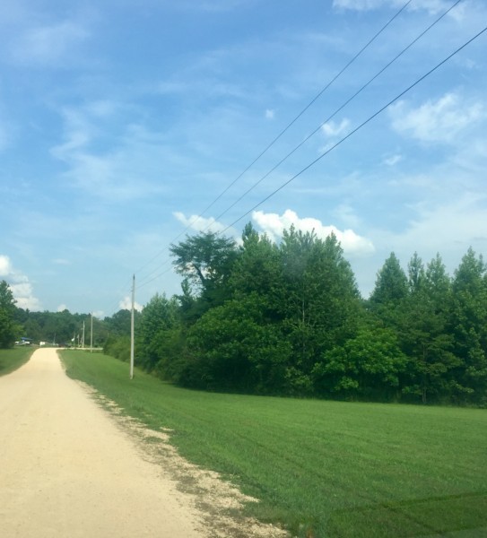 0 Whitaker Bnd Road Linden, TN 37096 - Photo 4 of 6 Gallery Image 4