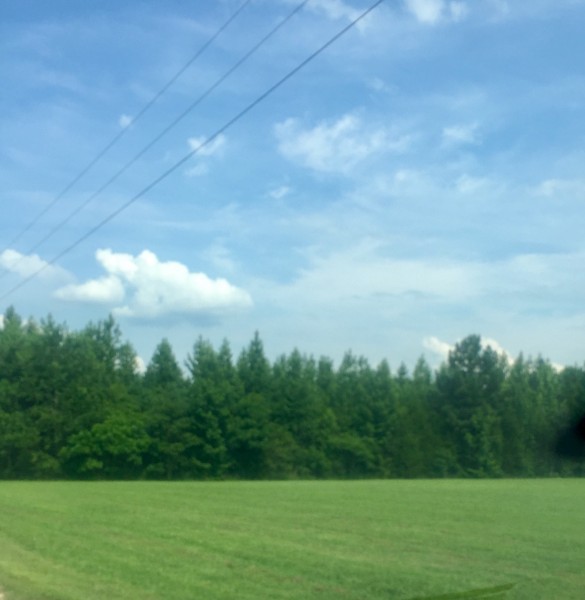 0 Whitaker Bnd Road Linden, TN 37096 - Photo 5 of 6 Gallery Image 5