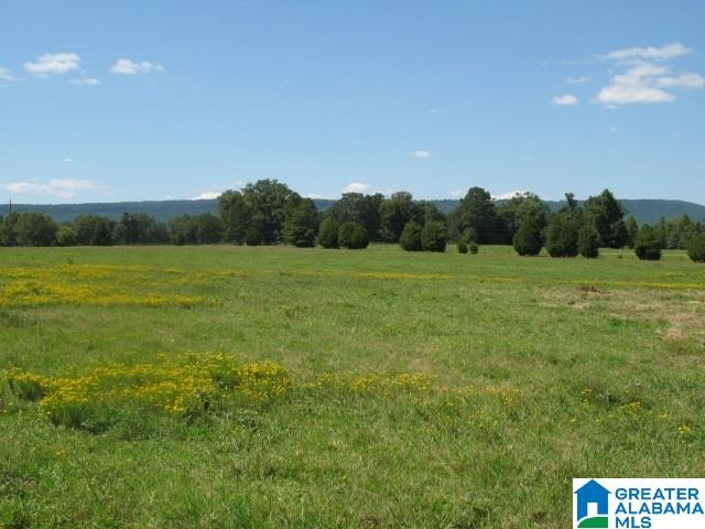 1950 Steele Station, Unit 59 AC Steele, AL 35987 - Photo 1 of 12