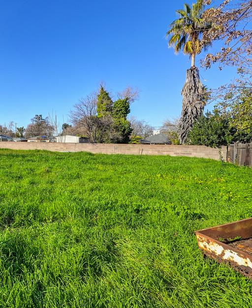 4271 Soledad Avenue Sacramento, CA 95820 - Photo 31 of 36 a backyard of a house with lots of green space
