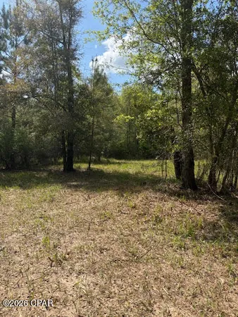 $105,000 | 0 Iron Bridge Road, Marianna, FL 32448