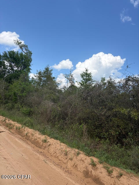 0 Iron Bridge Road Marianna, FL 32448 - Photo 11 of 19