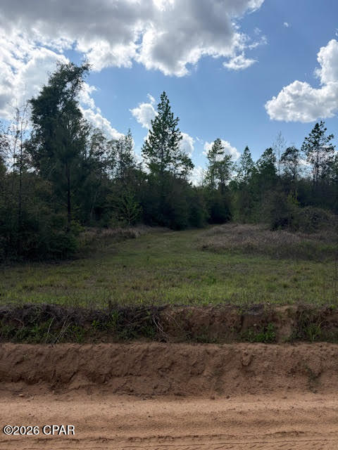 0 Iron Bridge Road Marianna, FL 32448 - Photo 12 of 19