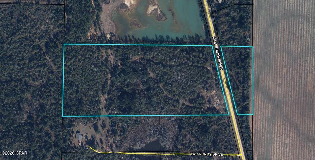 0 Iron Bridge Road Marianna, FL 32448 - Photo 13 of 19